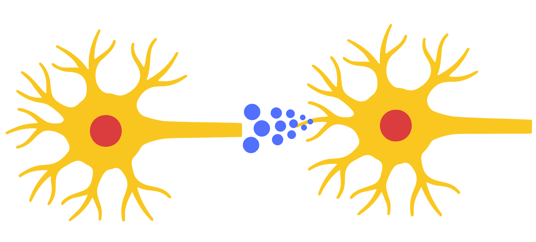 Figure 1: Neurons forming new connections